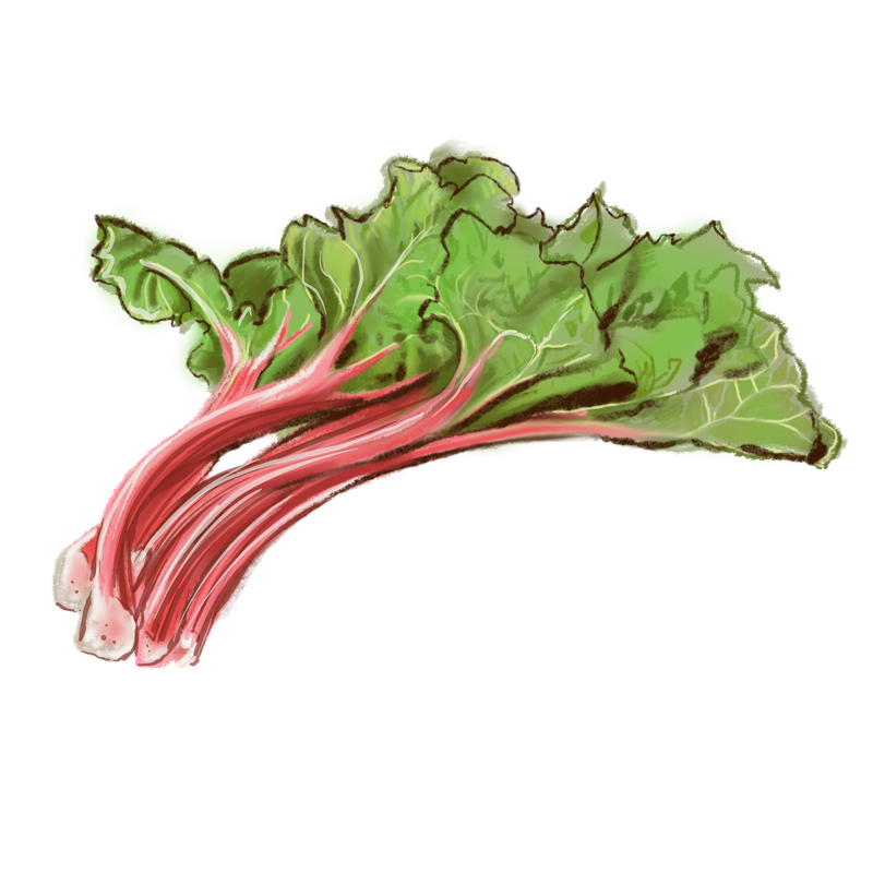 rhubarbe_web