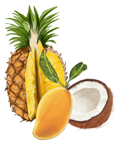 mangue-ananas-coco