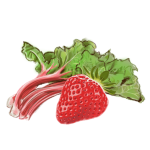 fraise-rhubarbe