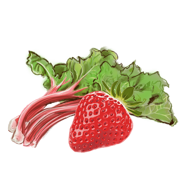 fraise-rhubarbe