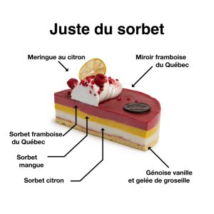 Juste du sorbet – Image 2